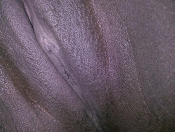 3177207668, female escort, Indianapolis